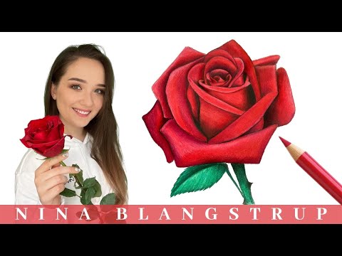 How to Draw a Realistic Rose  Step by Step Tutorial for Beginners