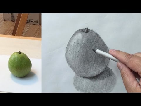 Still Life 35  How to Draw a Pear with Graphite Pencil and Paper Blending Stump