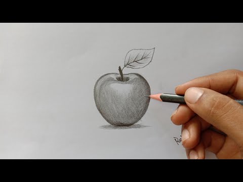 How to draw a realistic apple by pencil for beginners  Blending and shading  Easy way of drawing