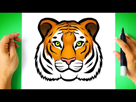 How to DRAW TIGER step by step