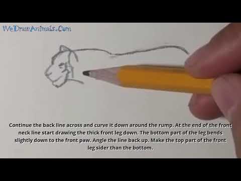 How to Draw a Tiger In 7 EASY Steps  GREAT for Kids amp Beginners