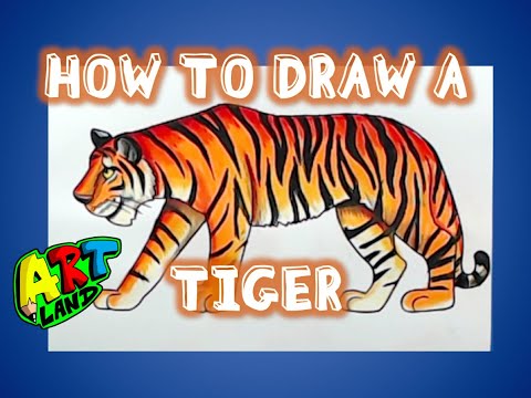 How to Draw a TIGER