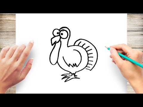How to Draw a Turkey Step by Step for Kids