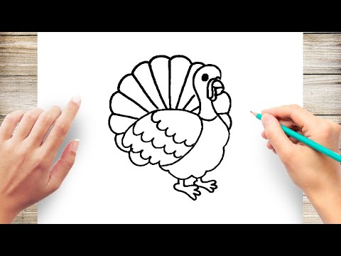 How to Draw Turkey Step by Step for Kids Easy