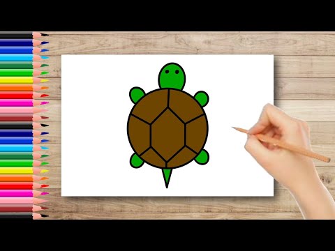 Turtle Drawing Easy  How To Draw Turtle For Kids