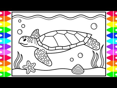How to Draw a Sea Turtle for Kids Sea Turtle Drawing for Kids  Sea Turtle Coloring Pages