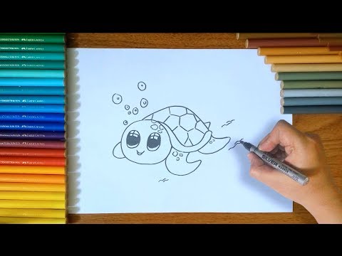 How To Draw a Turtle step by step for Kids