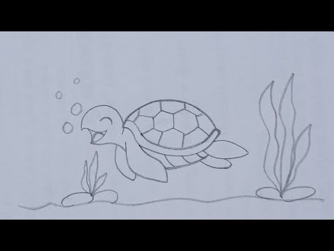 Turtle Drawing  How to draw a turtle 