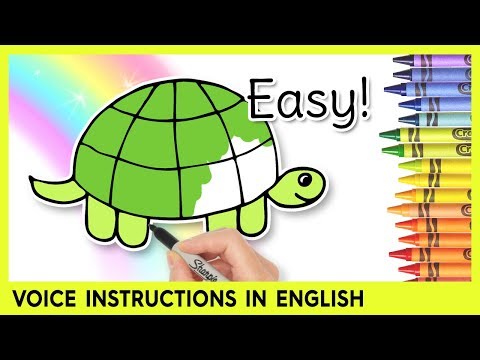 How to Draw a TURTLE Preschool Learning Video