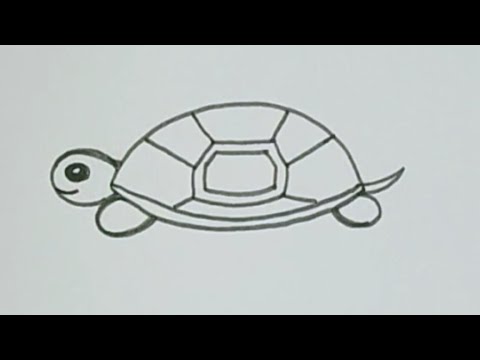 Easy Tortoise  drawing for kidsHow to draw a tortoise step by stepSrijay39s blog