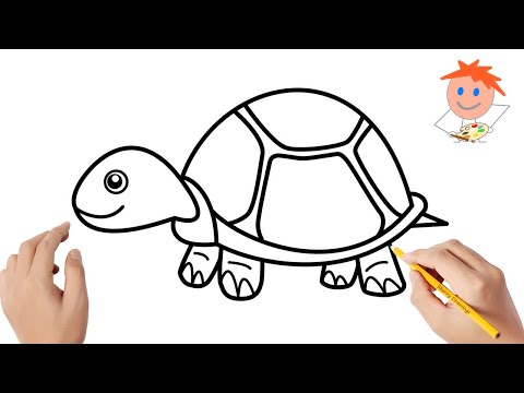 How to draw a turtle  Easy drawings