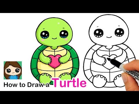 How to Draw a Baby Turtle Easy  Squishmallows
