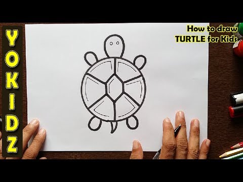 How to draw TURTLE for Kids