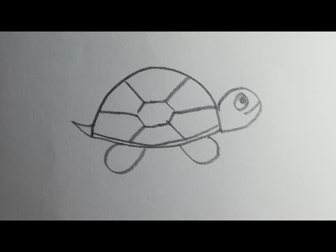 How to draw a turtle cute turtle  drawings for kids Easy drawings for kids shorts
