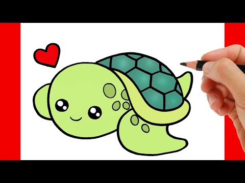 HOW TO DRAW A CUTE TURTLE EASY STEP BY STEP