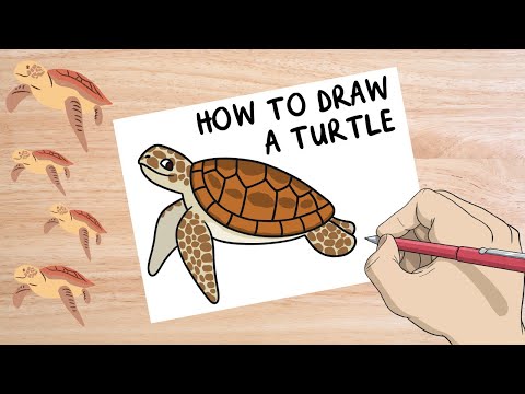 How to Draw a Sea Turtle  World Turtle Day Activities  Simple Art Tutorial for Kids  Twinkl USA
