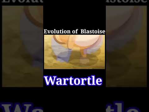 Evolution of Blastoise pokemonpikachu  teamrocketblastoise  dragonite ash shorts
