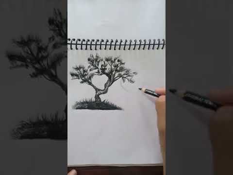 charcoal landscape drawing  how to use charcoal shorts ytshorts drawing