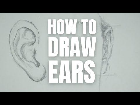 How to Draw Ears UPDATE