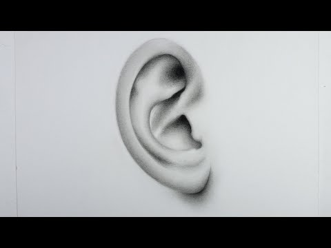 How to draw ear  pencil drawing