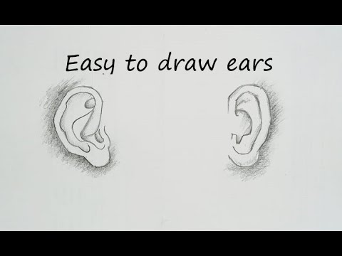 How to draw right amp left ears  Easy steps to draw ears  learn to draw ears for the beginners 