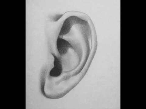 how to draw ears with pencil step by step