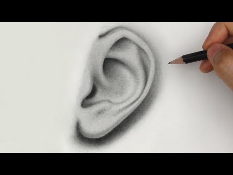 How to Draw Ears  Side View