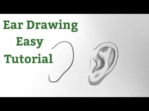 How to draw ears for beginners step by step Ear drawing tutorial with pencil shading easy