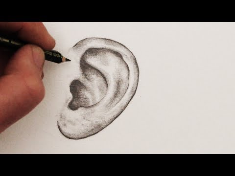 How to Draw Ears Step by Step