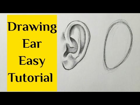 How to draw ear easy step by step Ear drawing for beginners tutorial Basic drawing for beginners