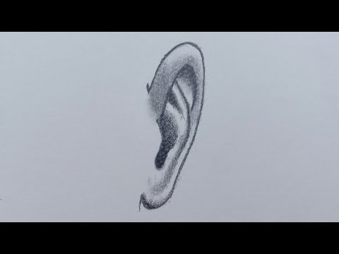 How to draw ear front view  How to draw realistic ear  Ear Drawing