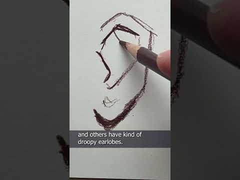 Everything You Wanted To Know About Drawing Ears In Under a Minute