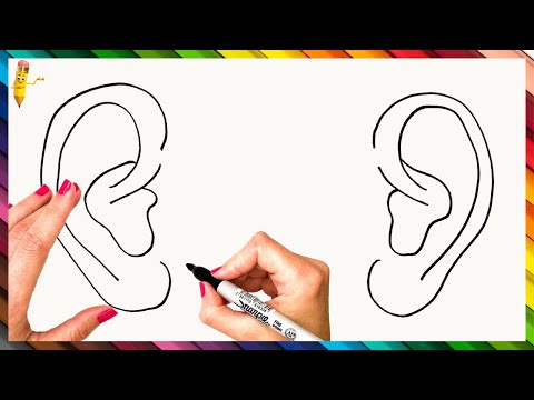 How To Draw Ears Step By Step  Ears Drawing Easy