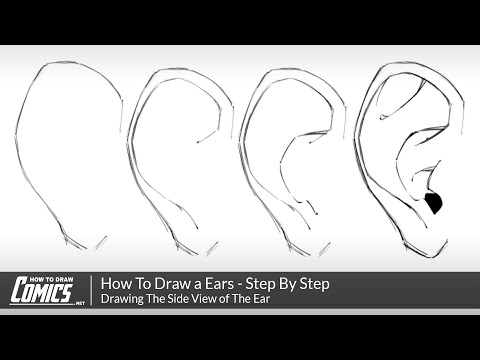 How To Draw a Ears  Step By Step Tutorial for Drawing Ears From The Side