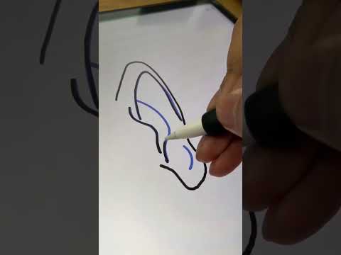 How To Draw EARS Easy drawing howtodraw drawingtutorial shorts