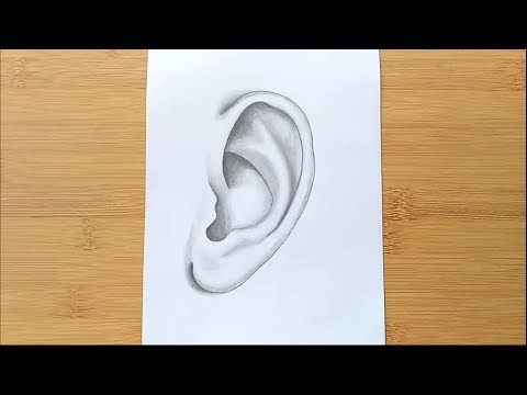 How to Draw An ear for beginners  Step by Step  Easy way to draw