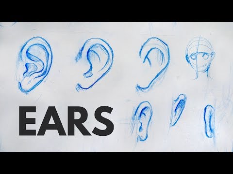 How to Draw Ears  Tutorial