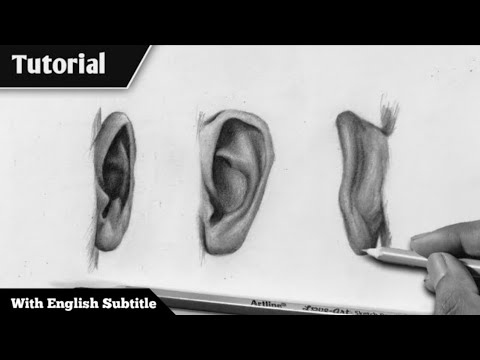 How to Draw Ear  Step by Step  Front Side and Back view