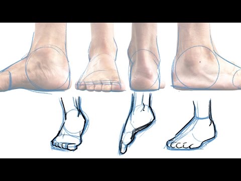 A Quick and Simple Guide to Drawing Feet
