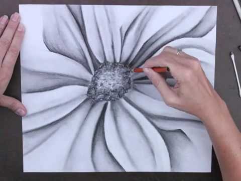 Charcoal Flower Drawing