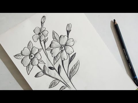 How to draw a Simple Flower with charcoal pencil