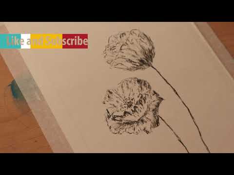 Flower drawing in charcoal_how to draw with charcoal
