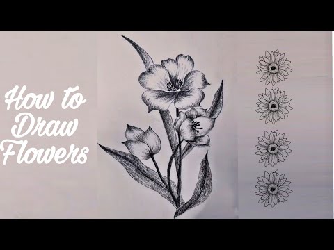How to draw Flowers using charcoal pencil