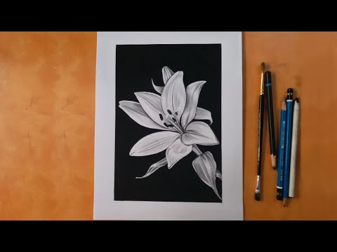 how to draw lily flower easy   charcoal drawing for beginners