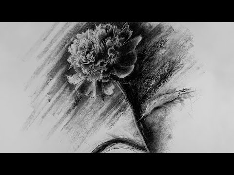 Carnation flower  Charcoal Drawing  p3vstudio
