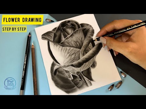 How to draw a realistic flower  charcoal drawing step by step