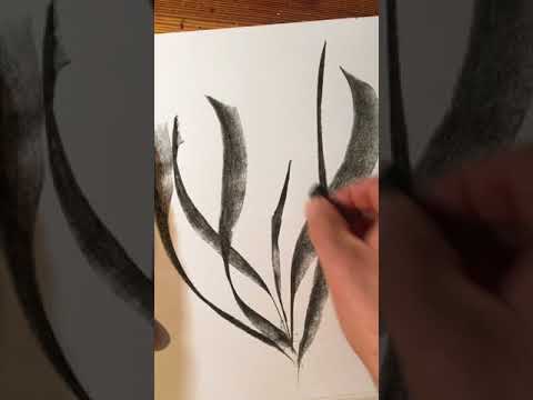 Drawing flowers with charcoal