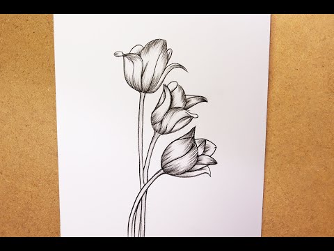 Easy drawing 3 Tulip flower step by step  Charcoal pencil drawing Tulip flower  Art video