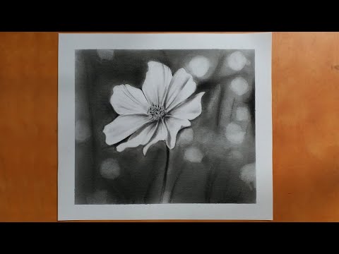 how to draw flower with charcoal  charcoal drawing for beginners