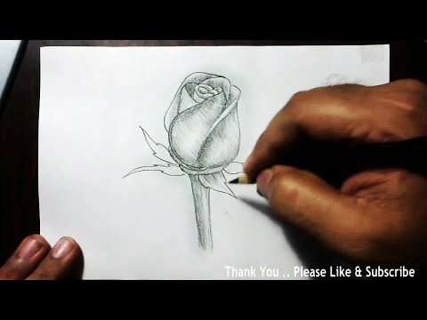 How to Draw a Beautiful Rose using charcoal pencil  YZArts  YZArts